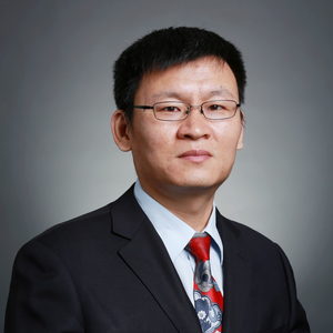 Hongli Wang (Associate Partner, Indirect Tax – Global Trade, Beijing at Ernst & Young)