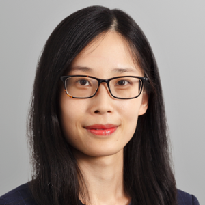 Anqi QIN (Senior Associate at Shaohe Law Firm (formerly Luther Law Offices))